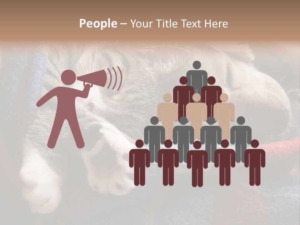 Animal Pet Sleep PowerPoint Template