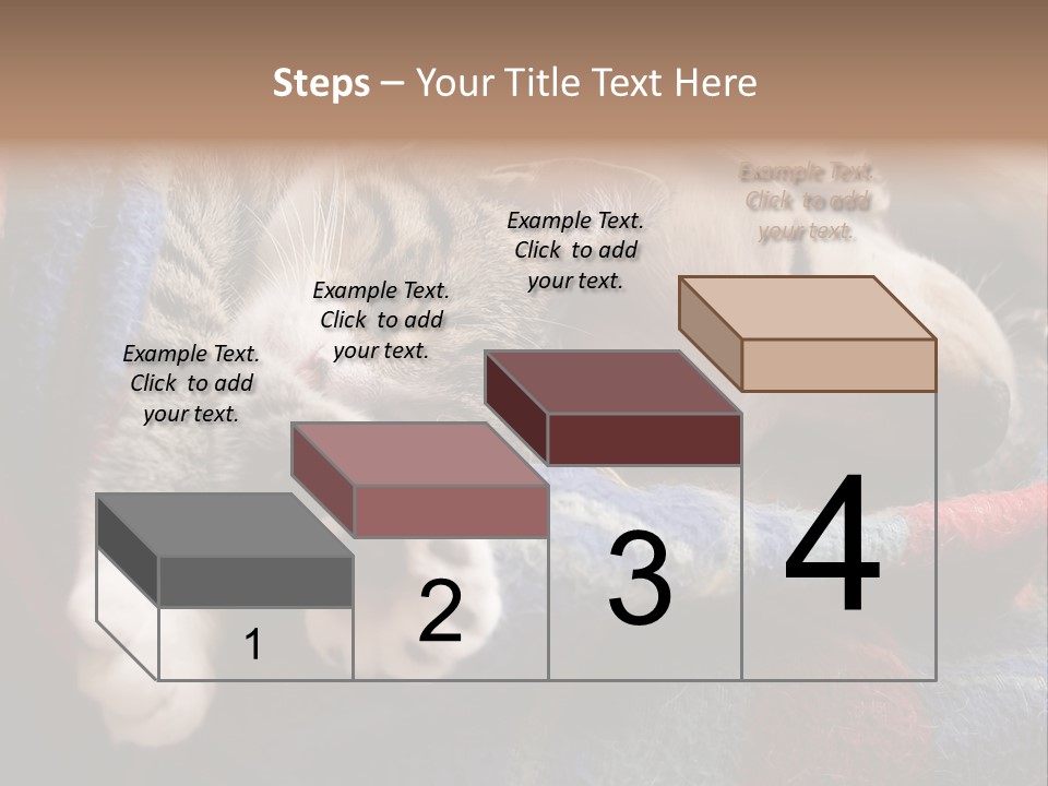 Animal Pet Sleep PowerPoint Template