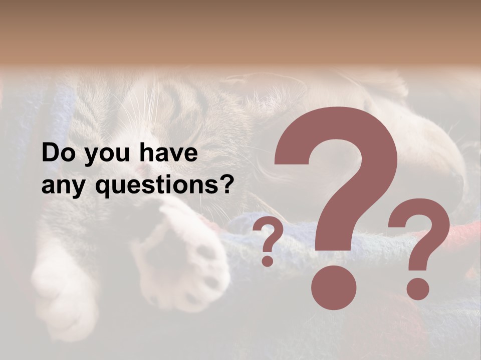 Animal Pet Sleep PowerPoint Template