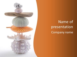 Zen Starfish Art PowerPoint Template