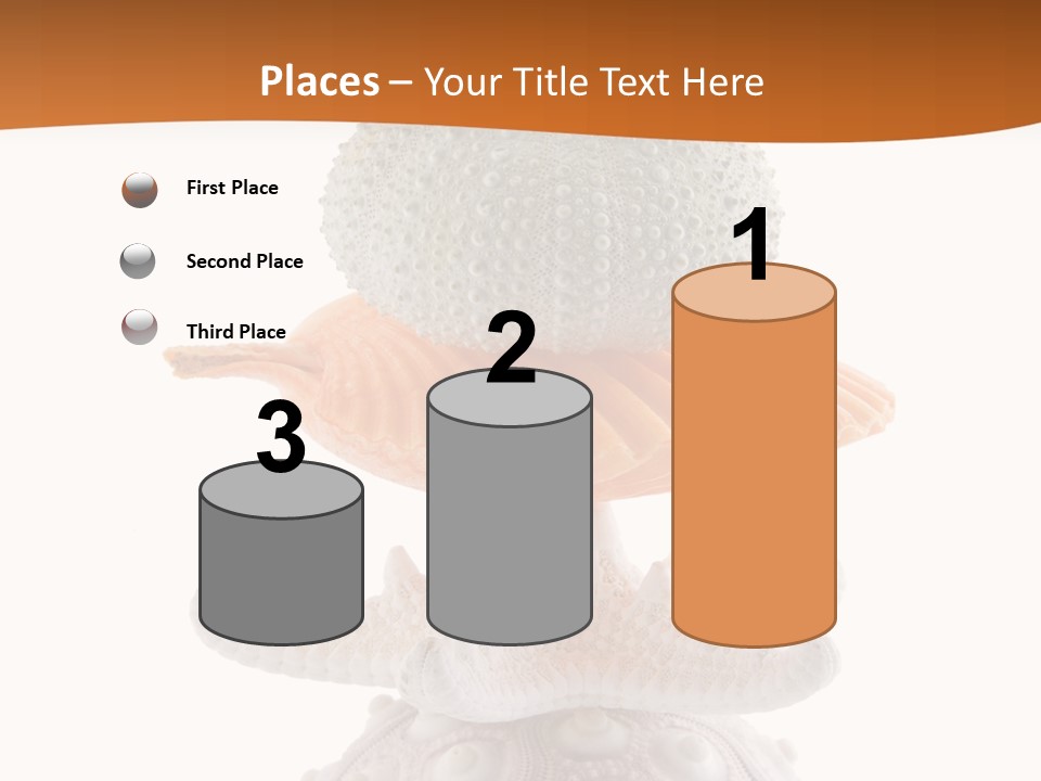 Zen Starfish Art PowerPoint Template