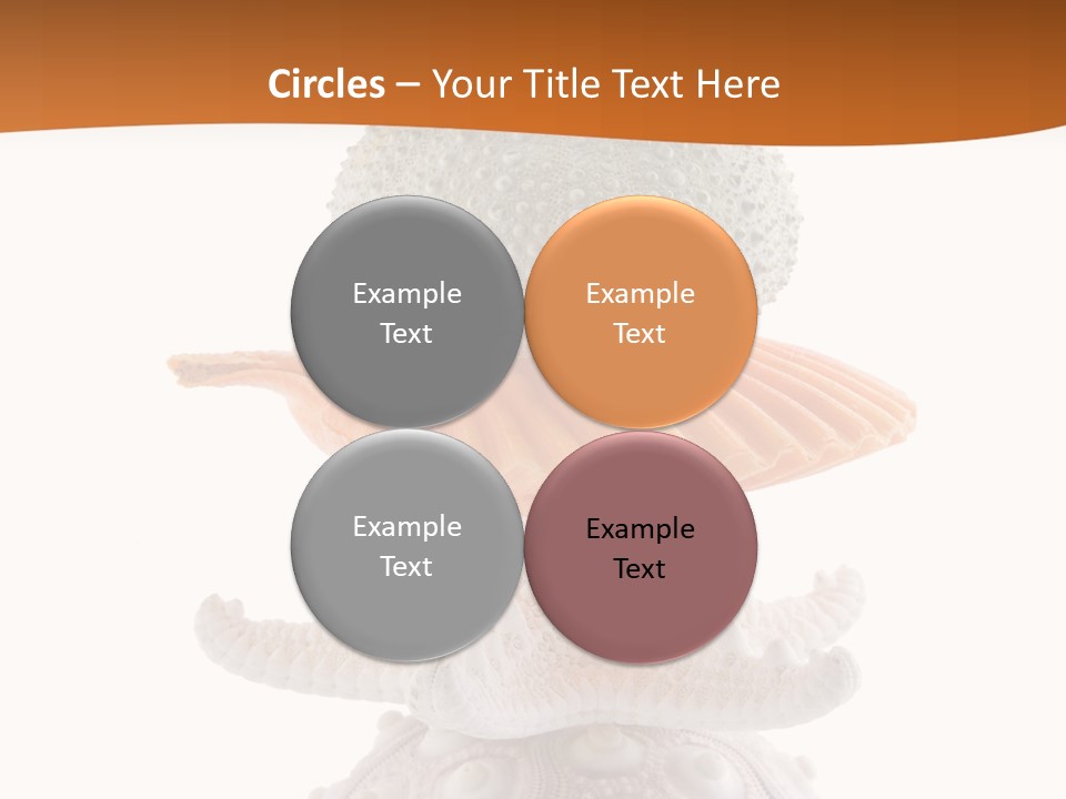 Zen Starfish Art PowerPoint Template