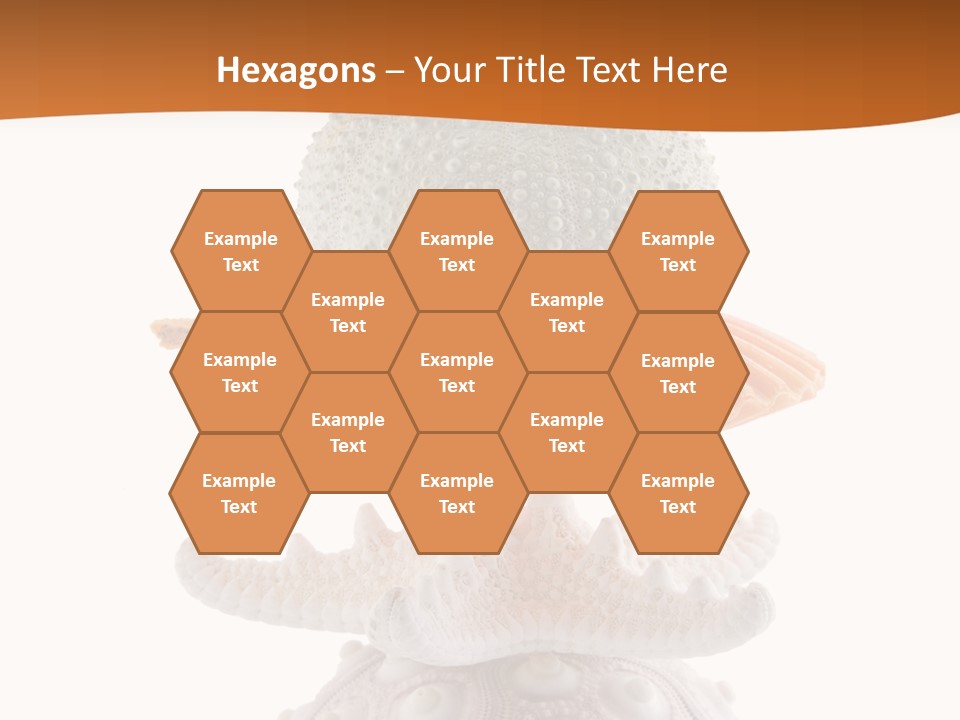 Zen Starfish Art PowerPoint Template