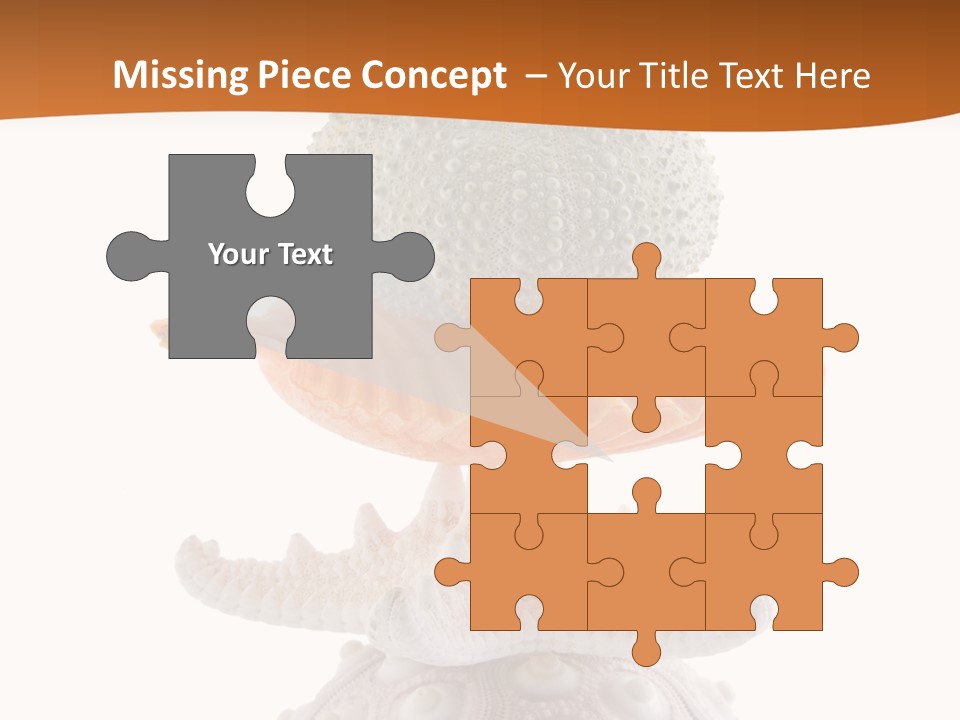 Zen Starfish Art PowerPoint Template