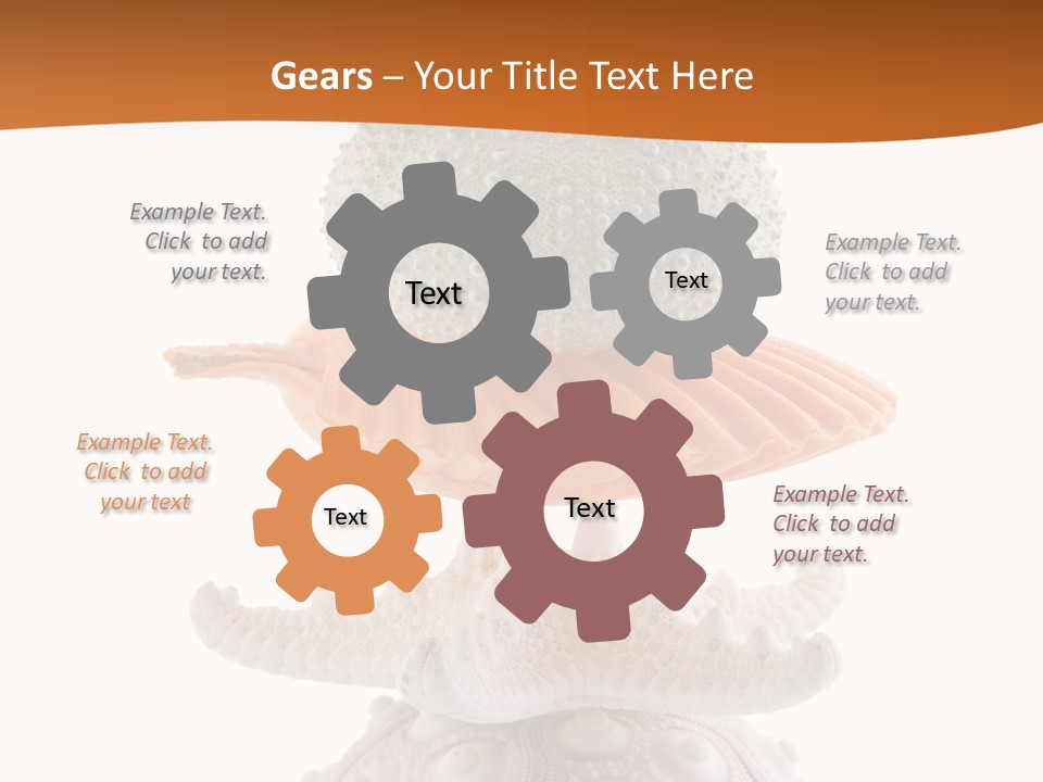 Zen Starfish Art PowerPoint Template