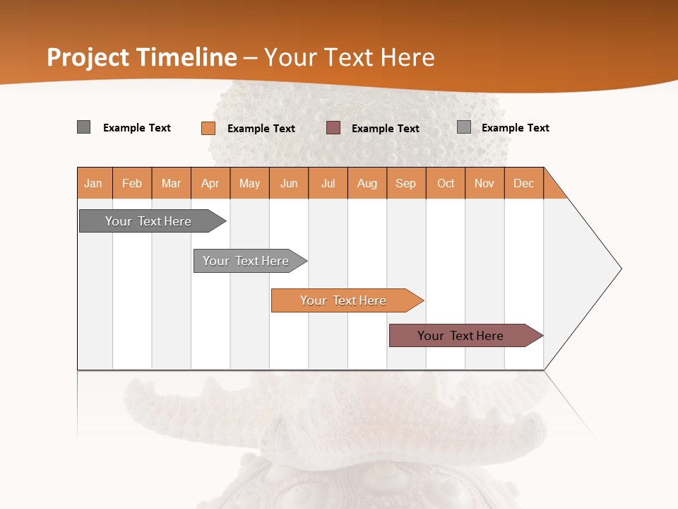 Zen Starfish Art PowerPoint Template