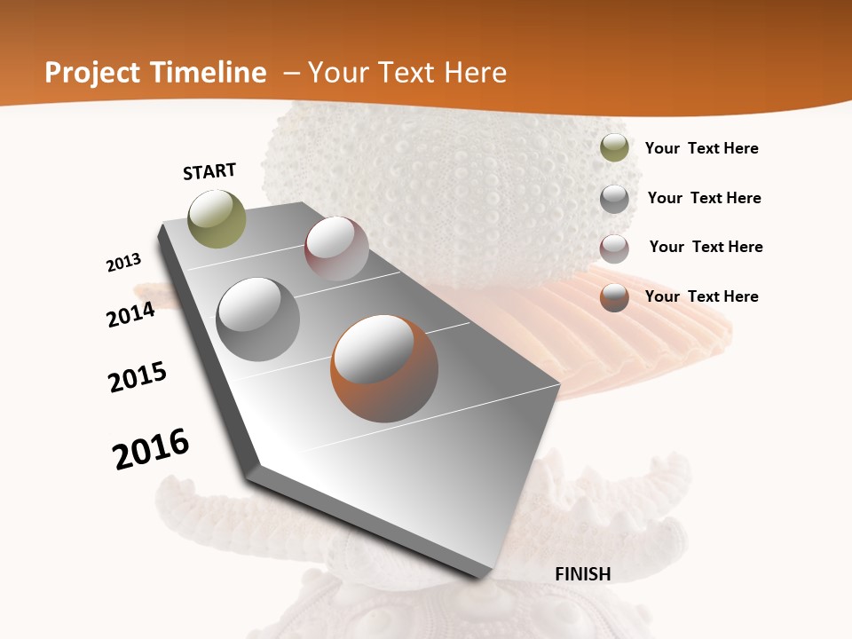 Zen Starfish Art PowerPoint Template