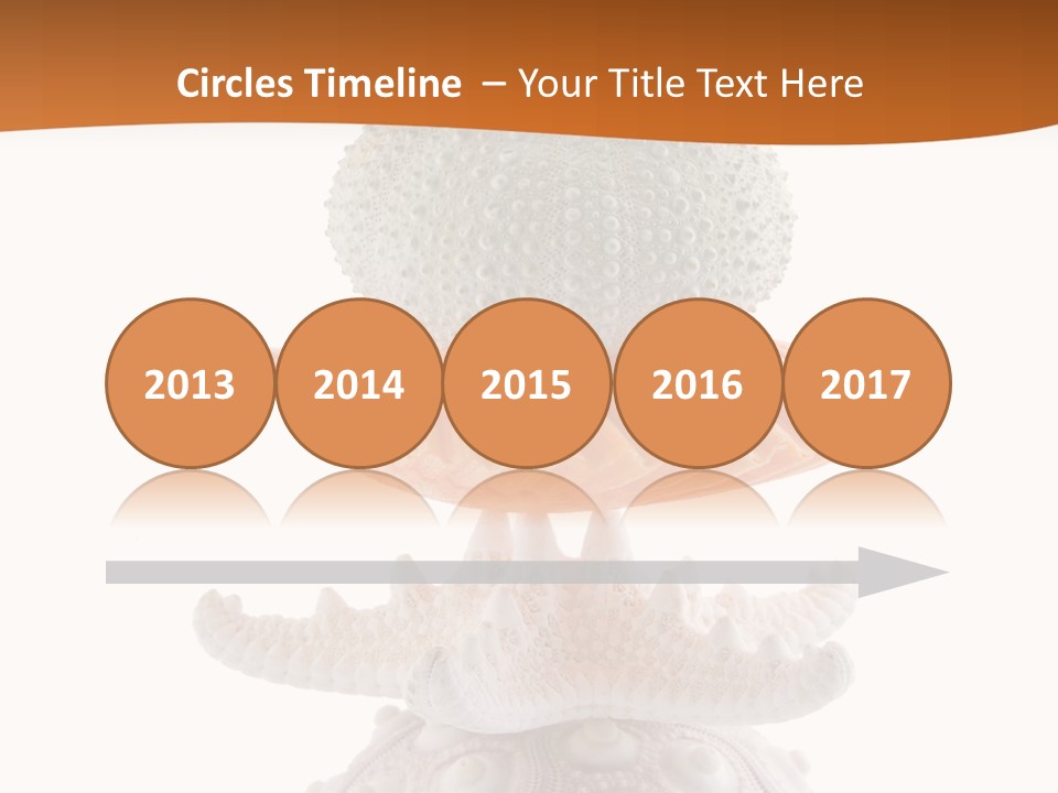 Zen Starfish Art PowerPoint Template