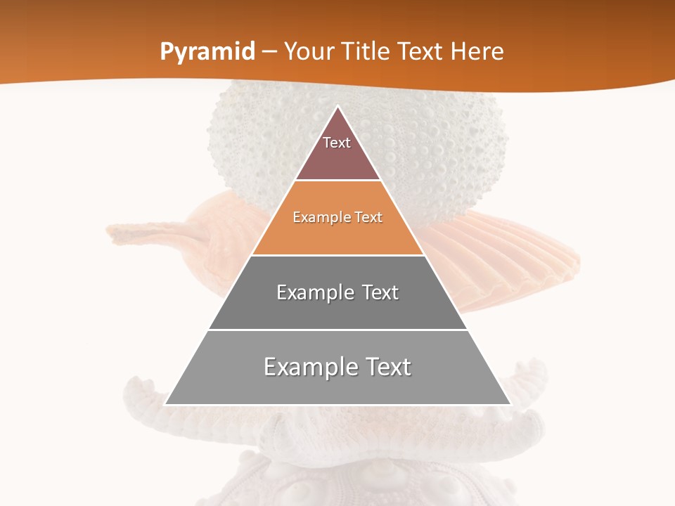 Zen Starfish Art PowerPoint Template