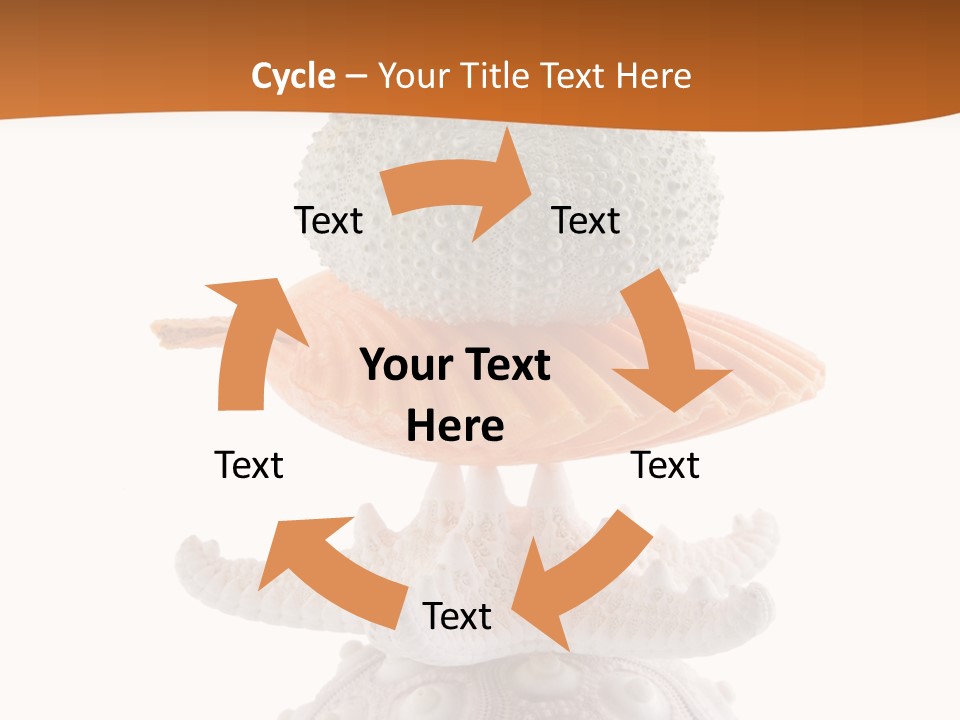 Zen Starfish Art PowerPoint Template