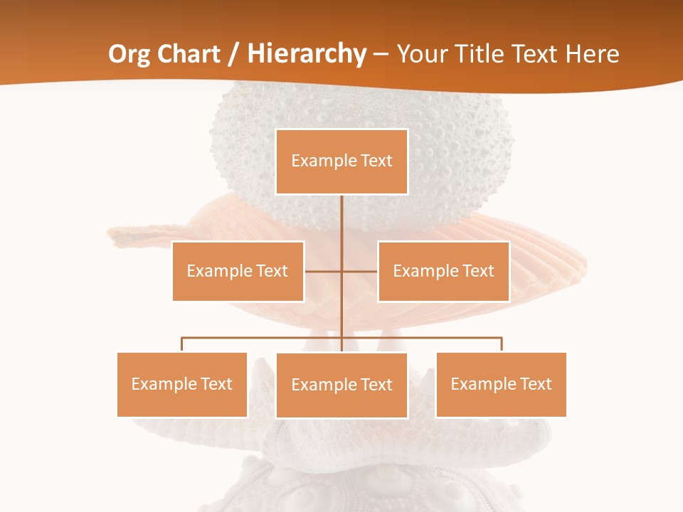 Zen Starfish Art PowerPoint Template