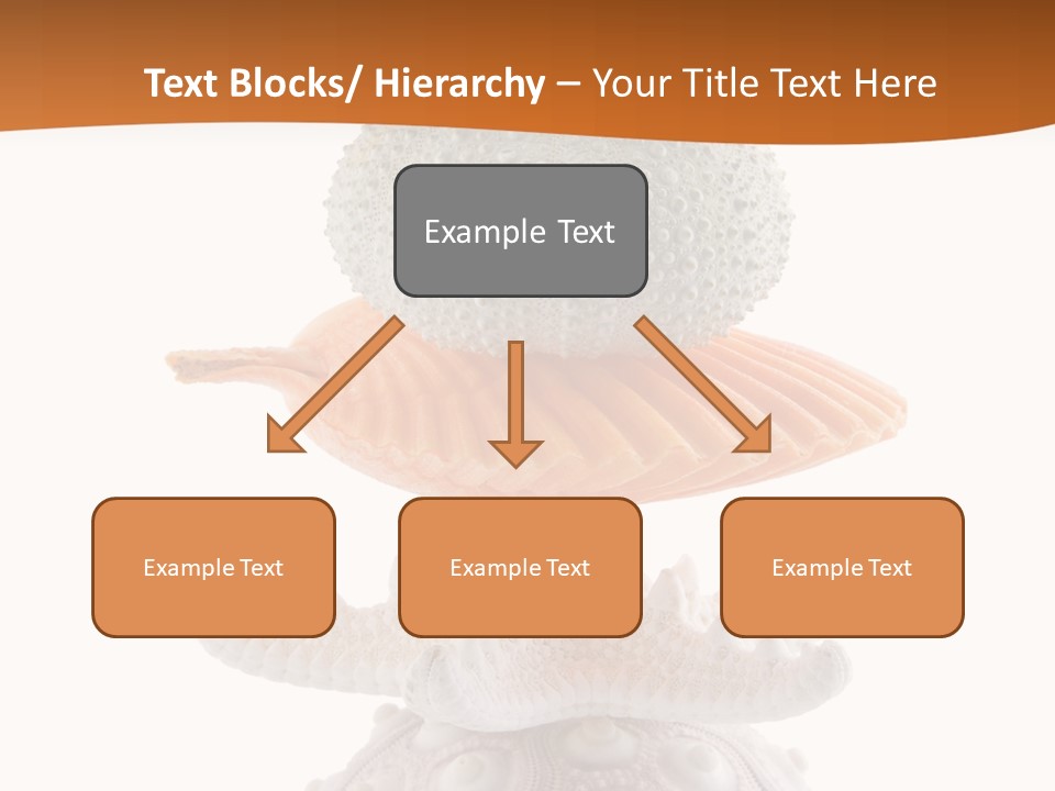 Zen Starfish Art PowerPoint Template