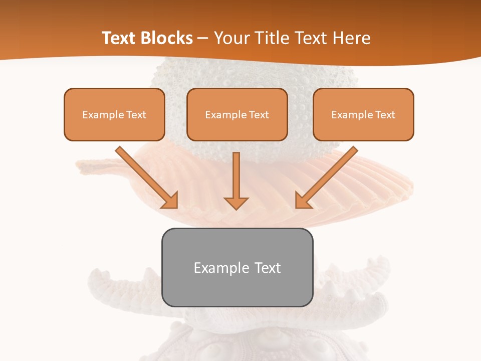 Zen Starfish Art PowerPoint Template