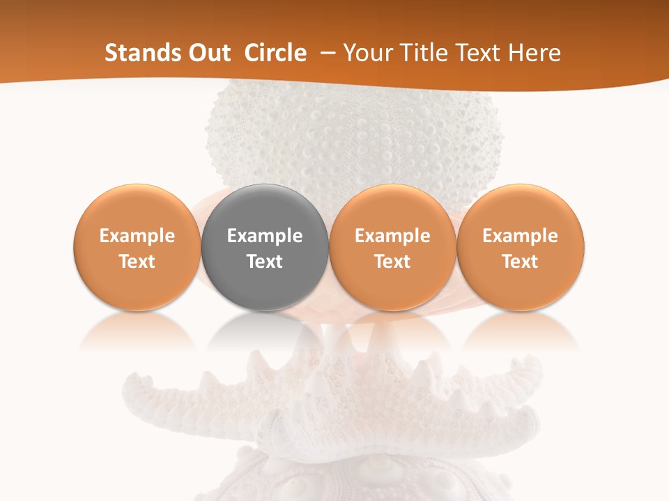 Zen Starfish Art PowerPoint Template