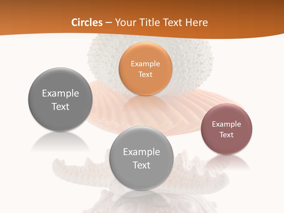 Zen Starfish Art PowerPoint Template