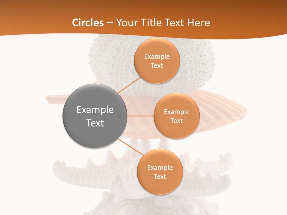 Zen Starfish Art PowerPoint Template