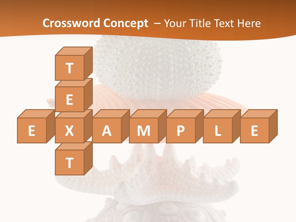 Zen Starfish Art PowerPoint Template