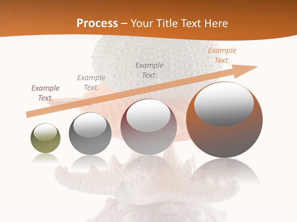 Zen Starfish Art PowerPoint Template