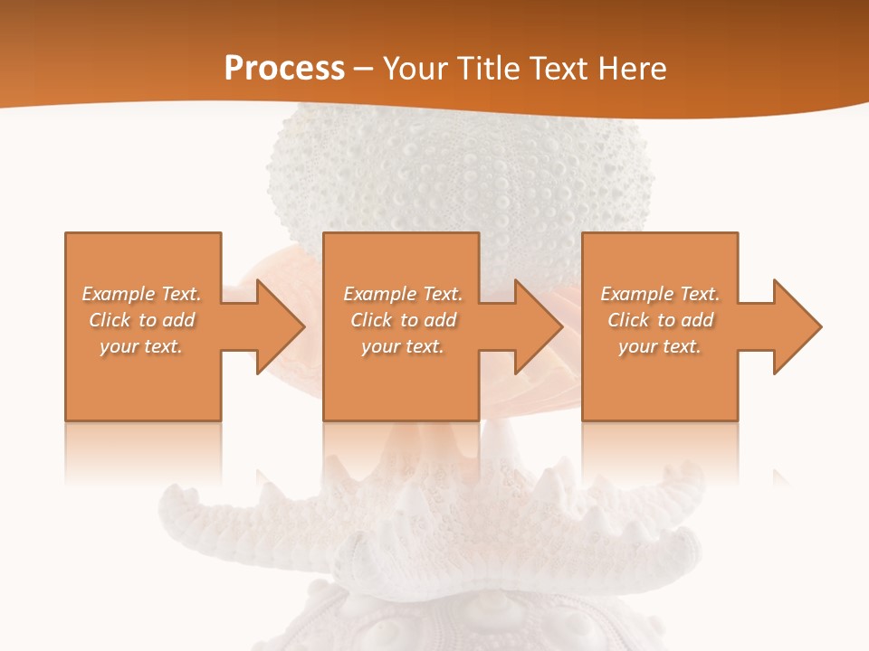 Zen Starfish Art PowerPoint Template