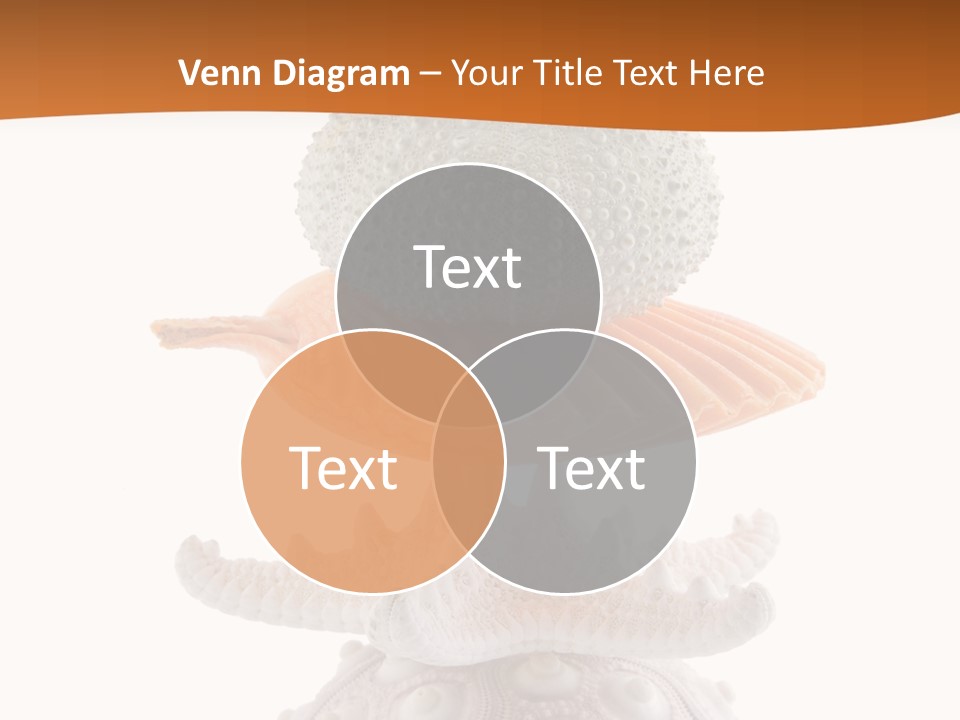 Zen Starfish Art PowerPoint Template