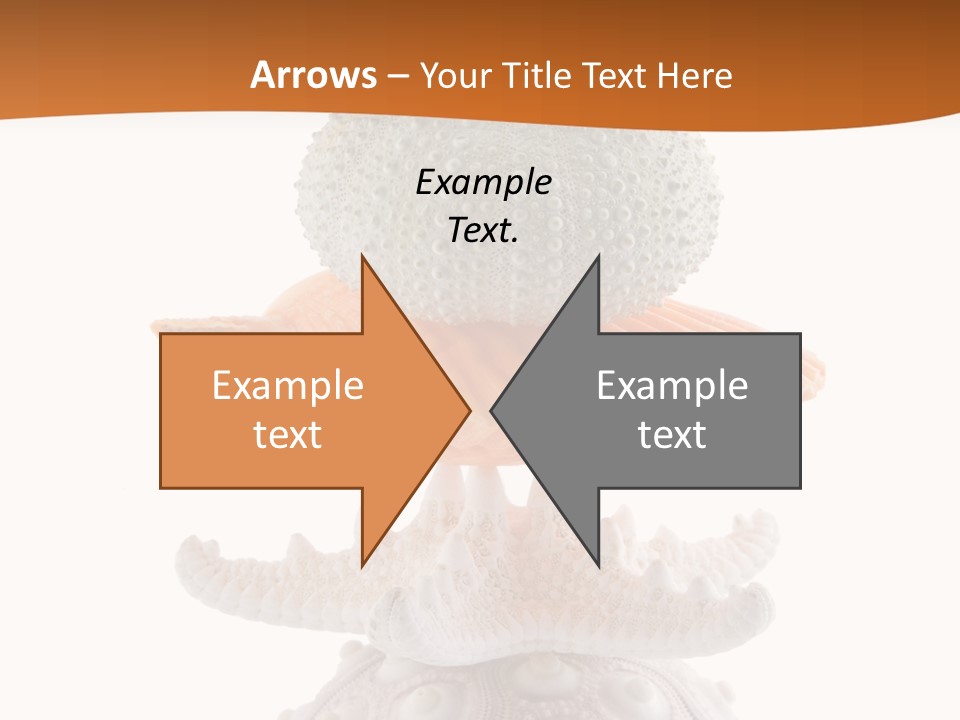 Zen Starfish Art PowerPoint Template