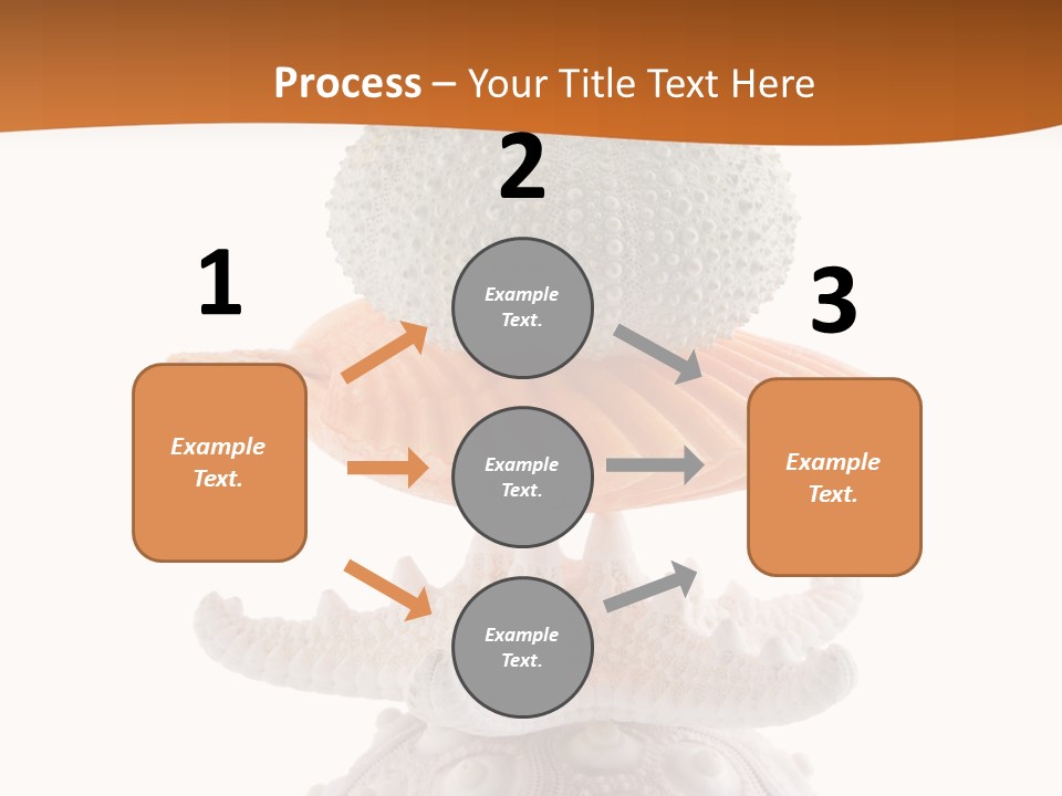 Zen Starfish Art PowerPoint Template