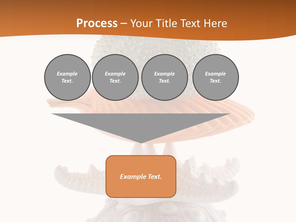 Zen Starfish Art PowerPoint Template