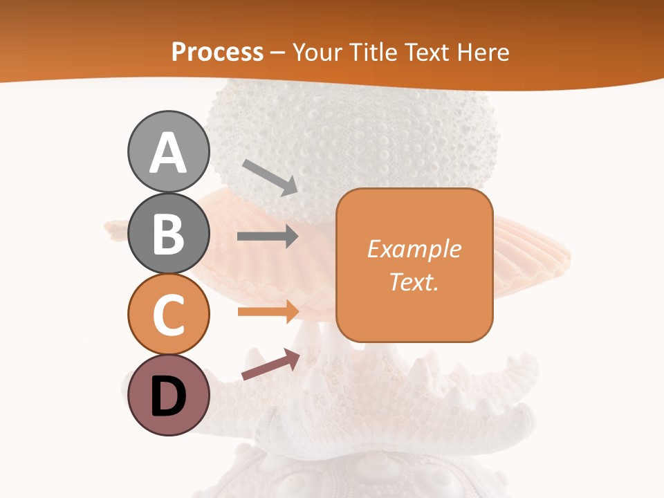 Zen Starfish Art PowerPoint Template