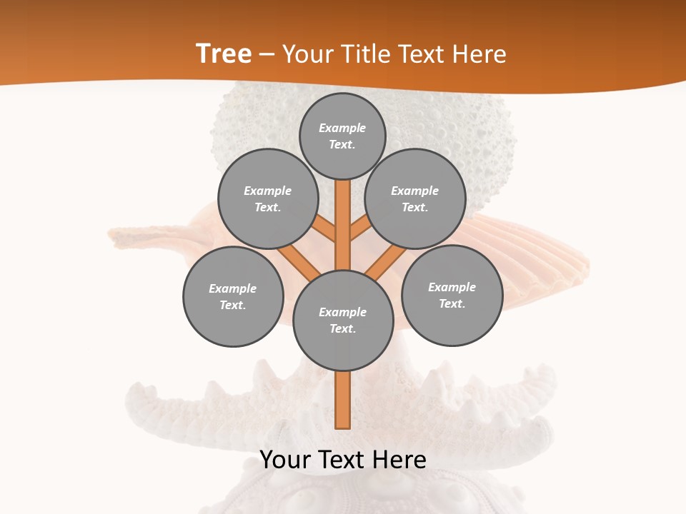 Zen Starfish Art PowerPoint Template