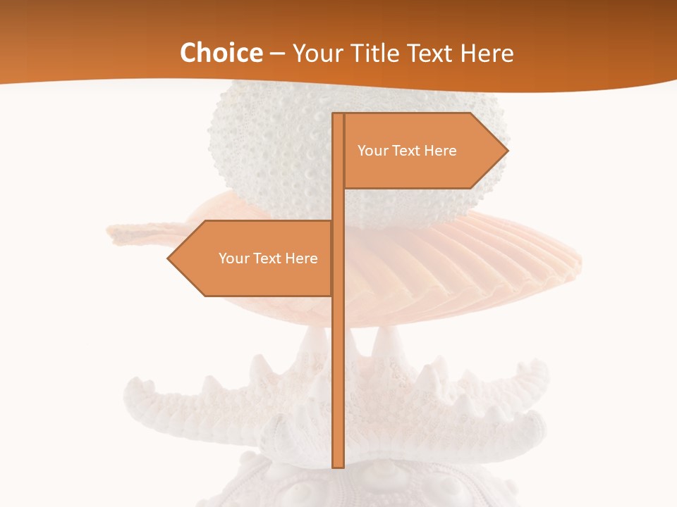 Zen Starfish Art PowerPoint Template