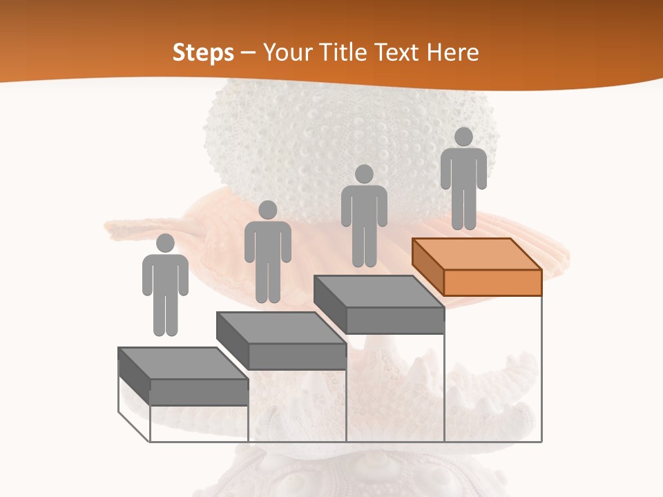 Zen Starfish Art PowerPoint Template