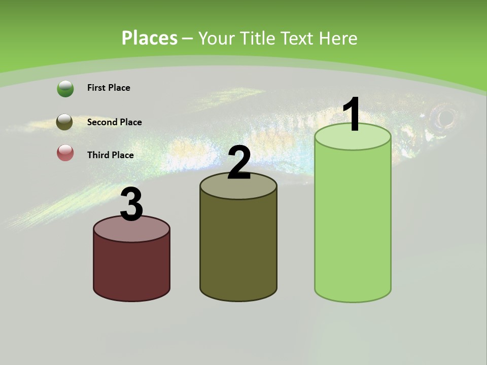 Wild Poeciliidae Endler PowerPoint Template