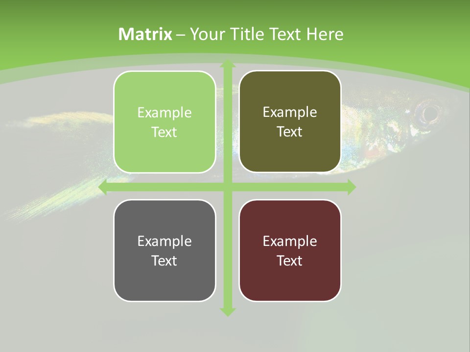 Wild Poeciliidae Endler PowerPoint Template