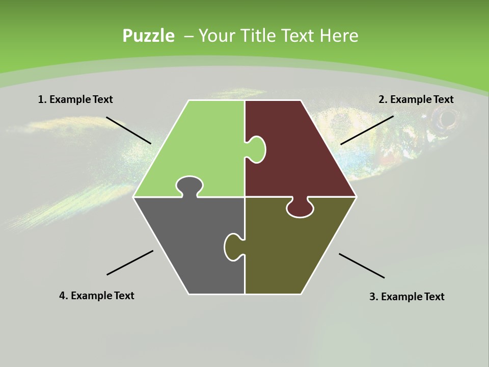 Wild Poeciliidae Endler PowerPoint Template