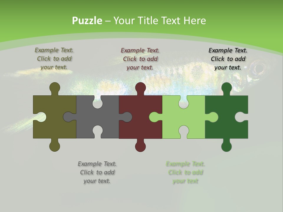 Wild Poeciliidae Endler PowerPoint Template