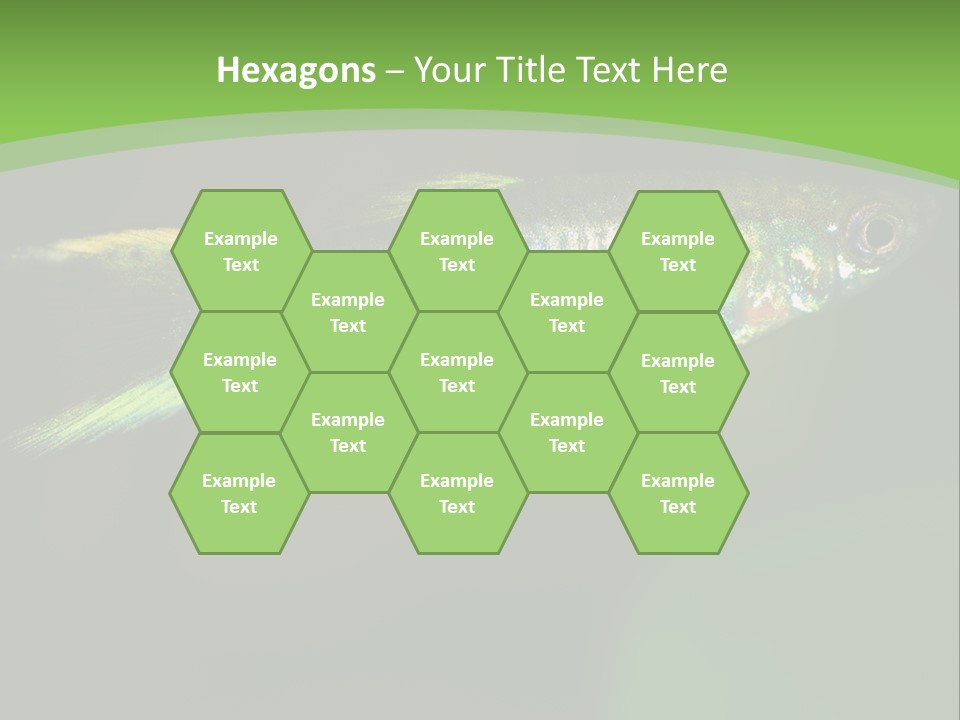 Wild Poeciliidae Endler PowerPoint Template