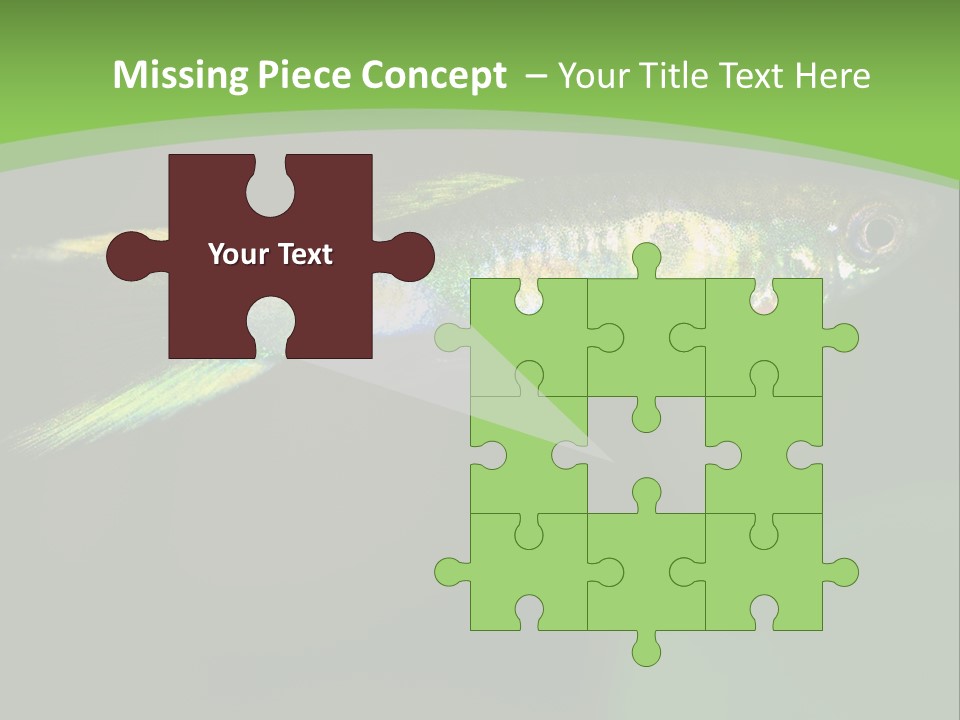 Wild Poeciliidae Endler PowerPoint Template