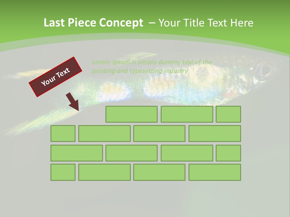 Wild Poeciliidae Endler PowerPoint Template