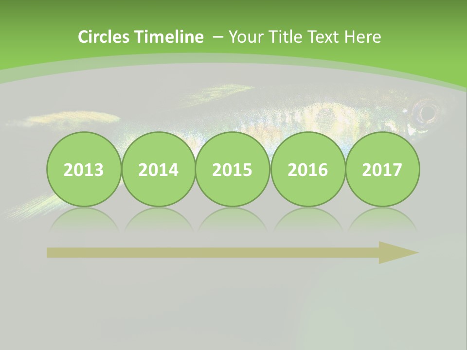 Wild Poeciliidae Endler PowerPoint Template