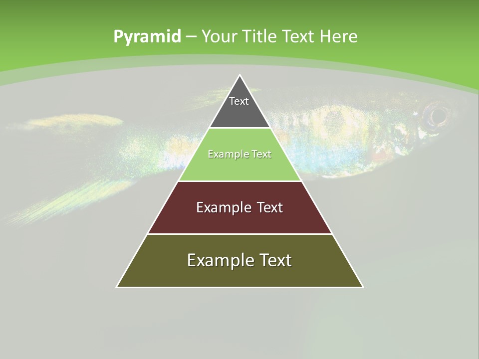 Wild Poeciliidae Endler PowerPoint Template