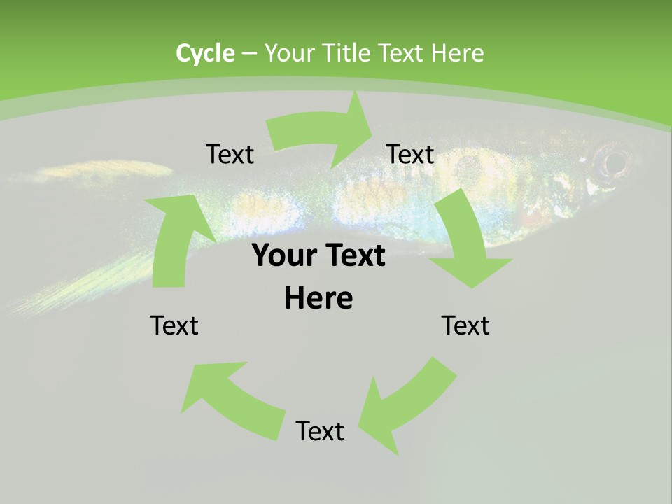 Wild Poeciliidae Endler PowerPoint Template