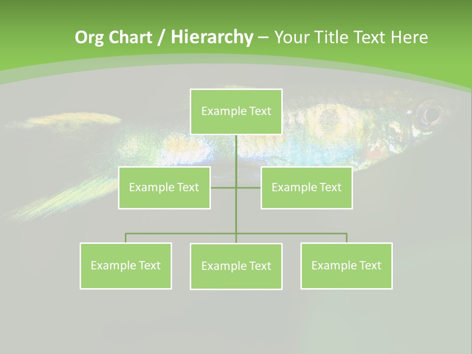 Wild Poeciliidae Endler PowerPoint Template