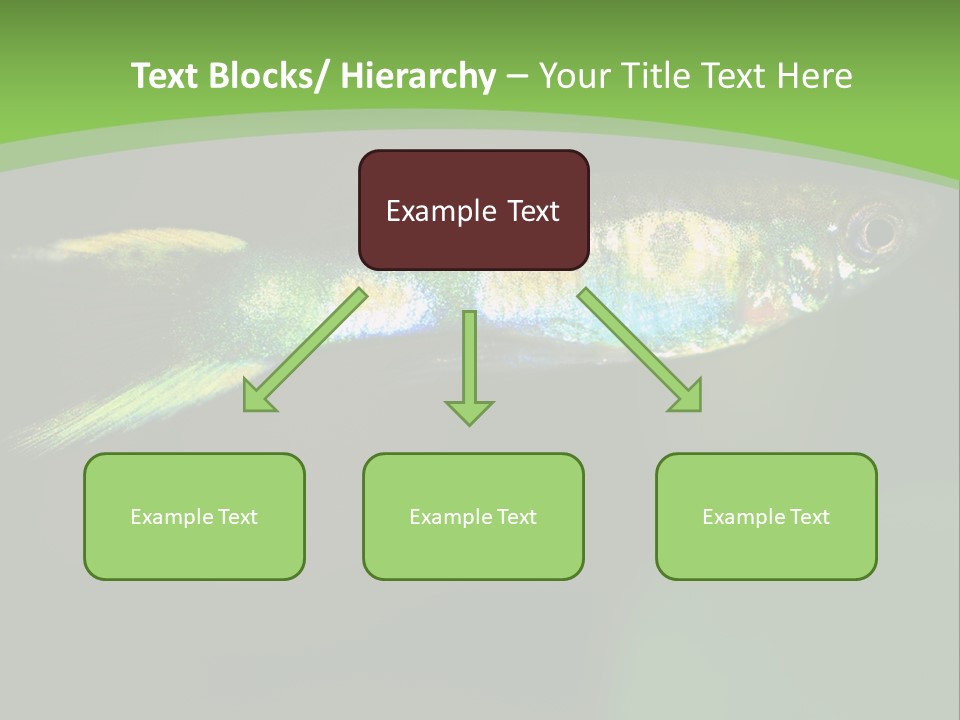 Wild Poeciliidae Endler PowerPoint Template