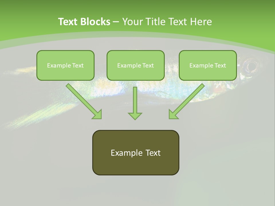Wild Poeciliidae Endler PowerPoint Template