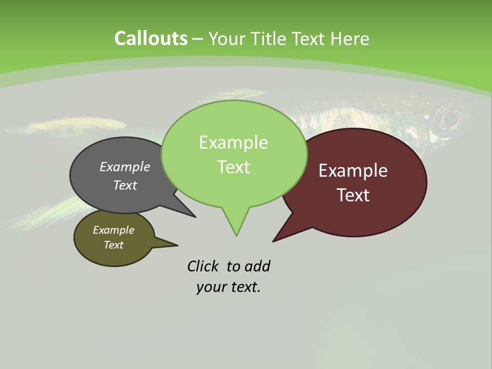 Wild Poeciliidae Endler PowerPoint Template