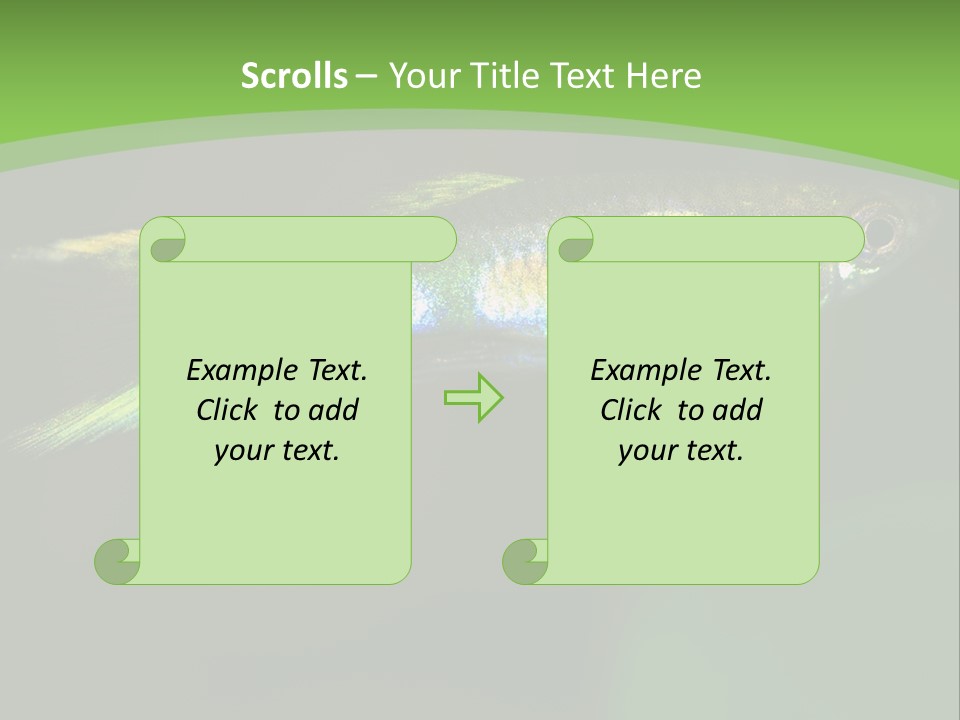 Wild Poeciliidae Endler PowerPoint Template