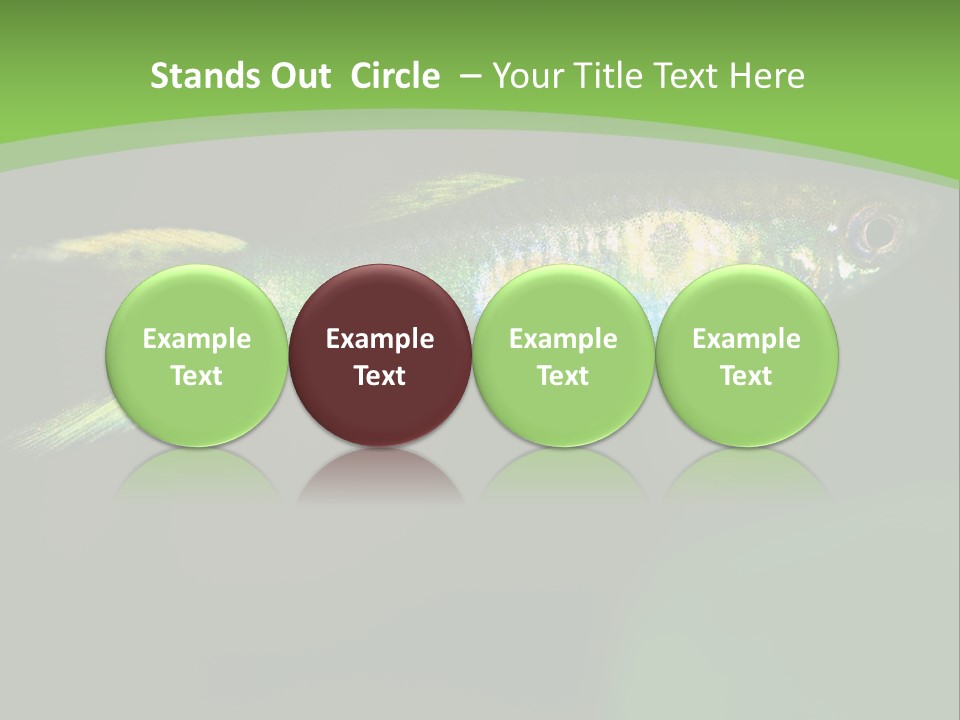 Wild Poeciliidae Endler PowerPoint Template