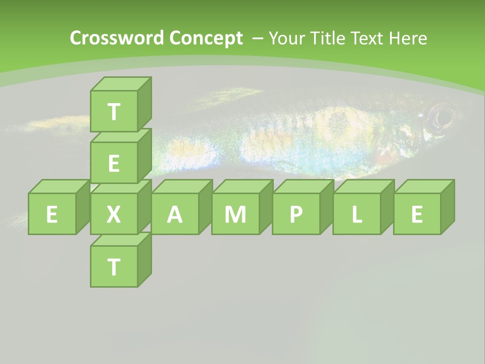 Wild Poeciliidae Endler PowerPoint Template