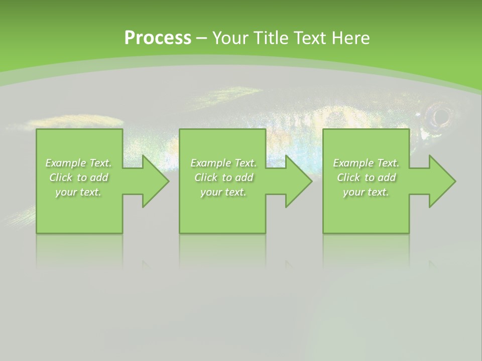 Wild Poeciliidae Endler PowerPoint Template