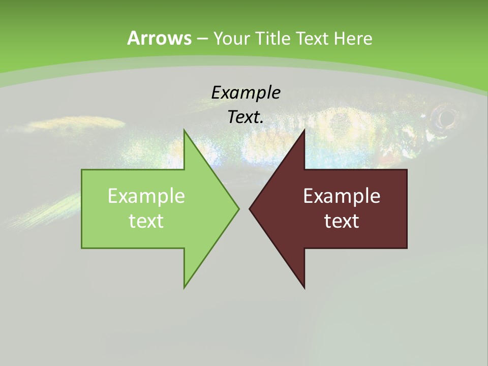 Wild Poeciliidae Endler PowerPoint Template